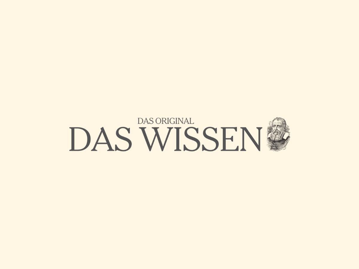 Das-Wissen.de